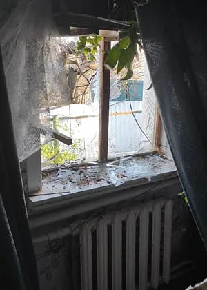 Вікна в квітах. Мама їх дуже любила.